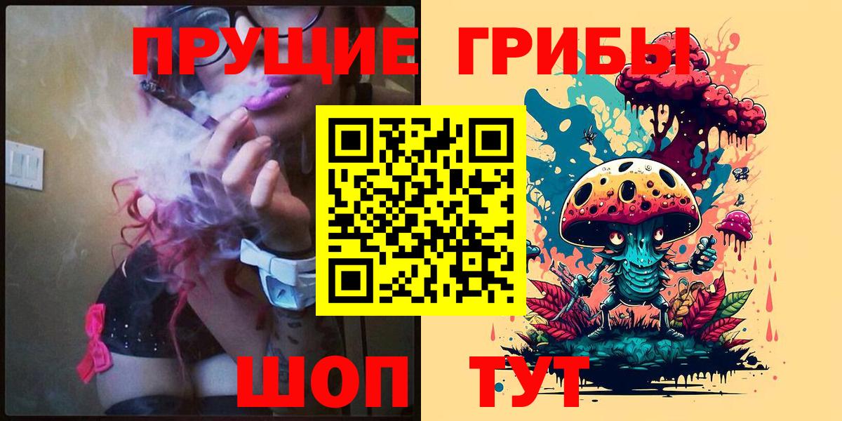 Галлюциногенные грибы Psilocybe Алатырь