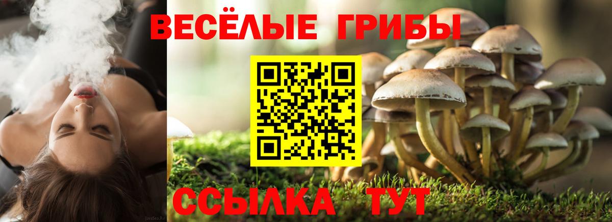 Галлюциногенные грибы Magic Shrooms  Псилоцибиновые грибы MAGIC MUSHROOMS  Алатырь  Вход с VPN 